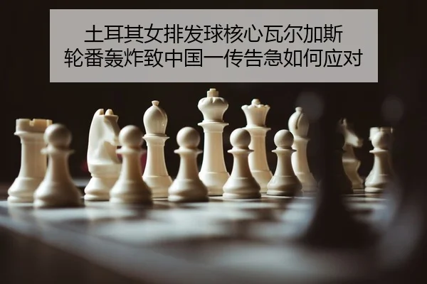 tu-er-qi-nv-pai-fa-qiu-he-xin-wa-er-jia-si-lun-fan-hong-zha-zhi-zhong-guo-yi-chuan-gao-ji-ru-he-ying-dui-2-207.jpg